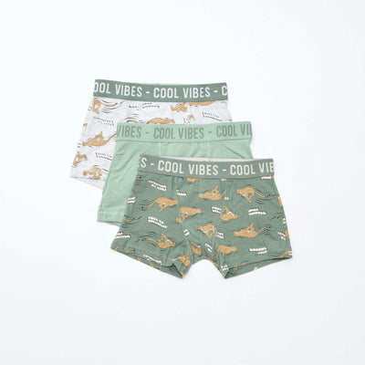 Pack of 3 pairs of stretch boxer shorts GREY