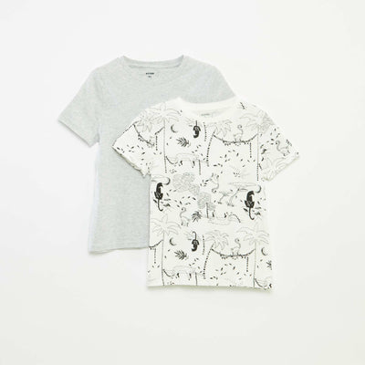 Pack of 2 short-sleeved T-shirts with round neck WHITE