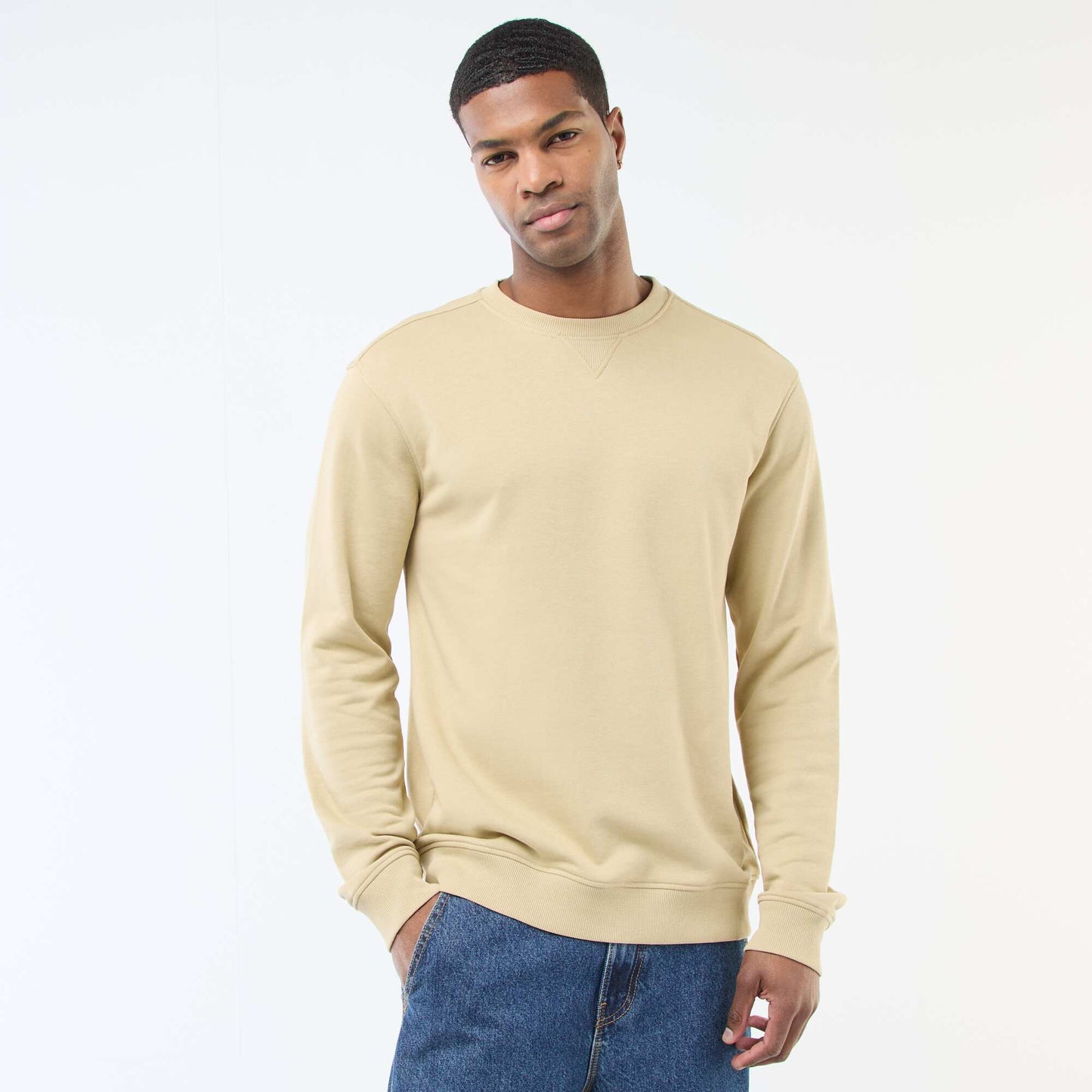 Regular Fit French Terry Sweatshirt BEIGE