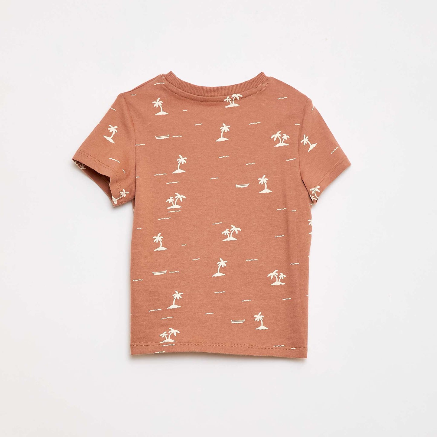 Plain Cotton Jersey T-shirt BROWN