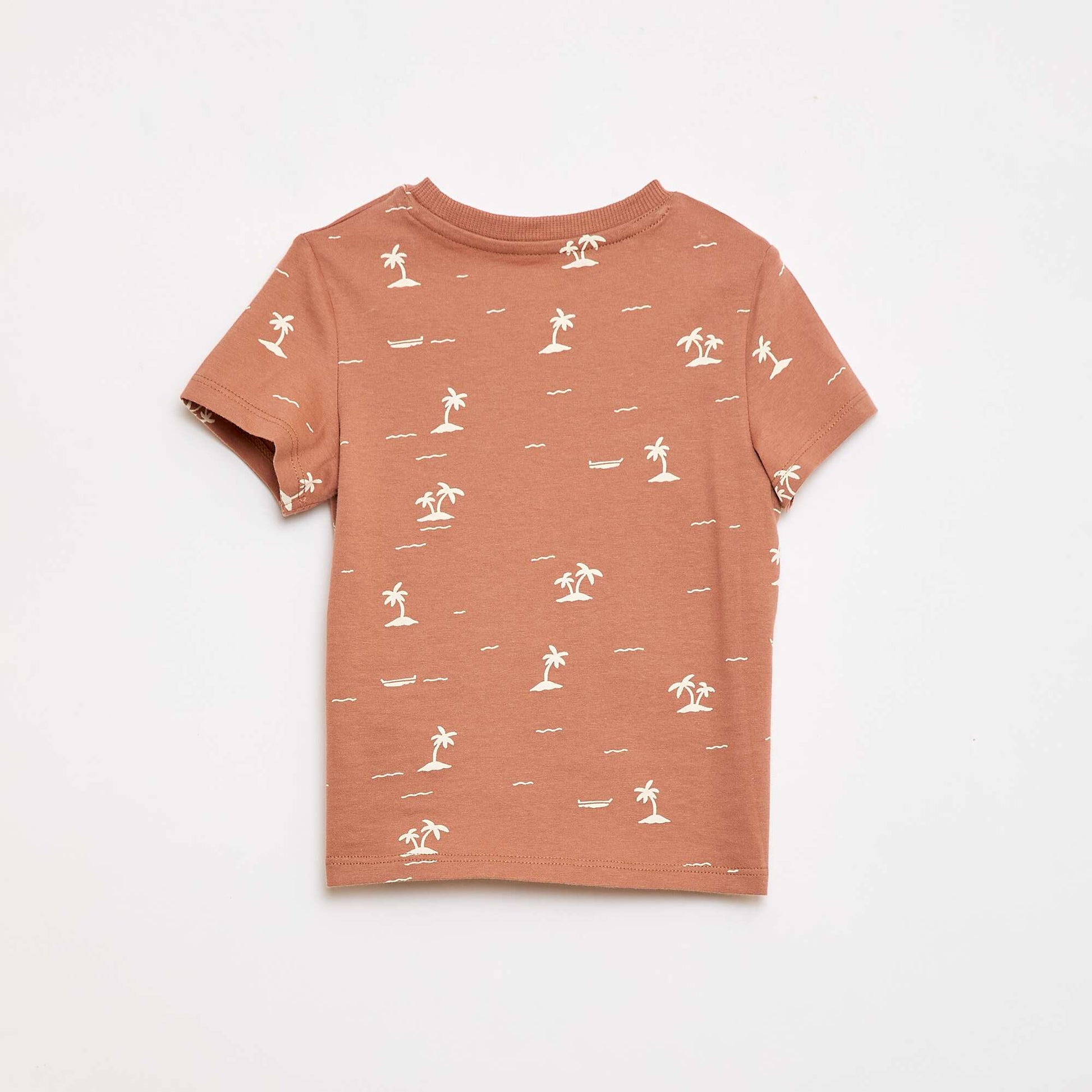 Plain Cotton Jersey T-shirt BROWN