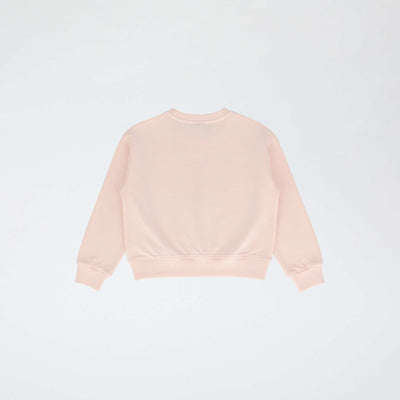 FZM82_1_ZC2