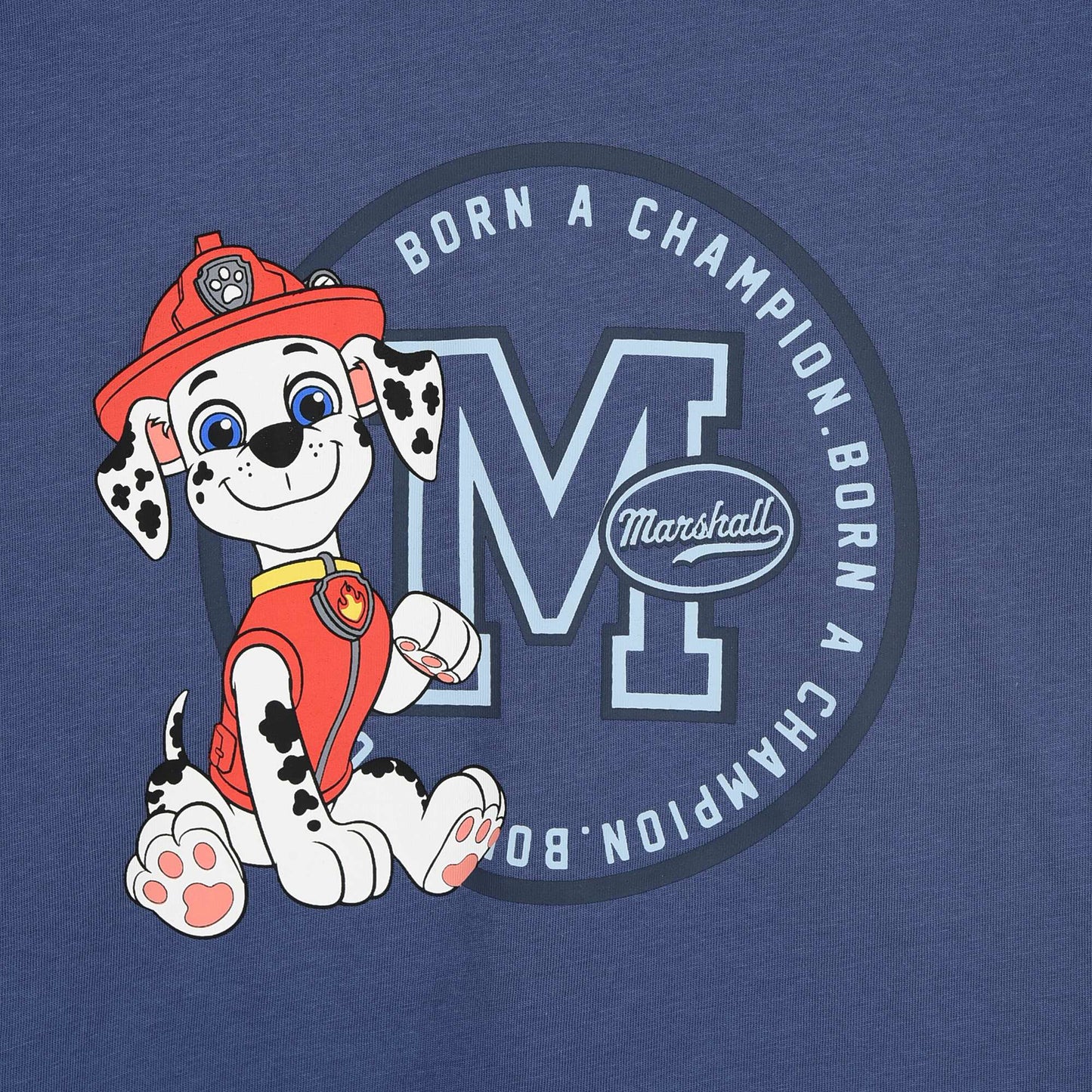 'Paw Patrol' T-shirt BLUE