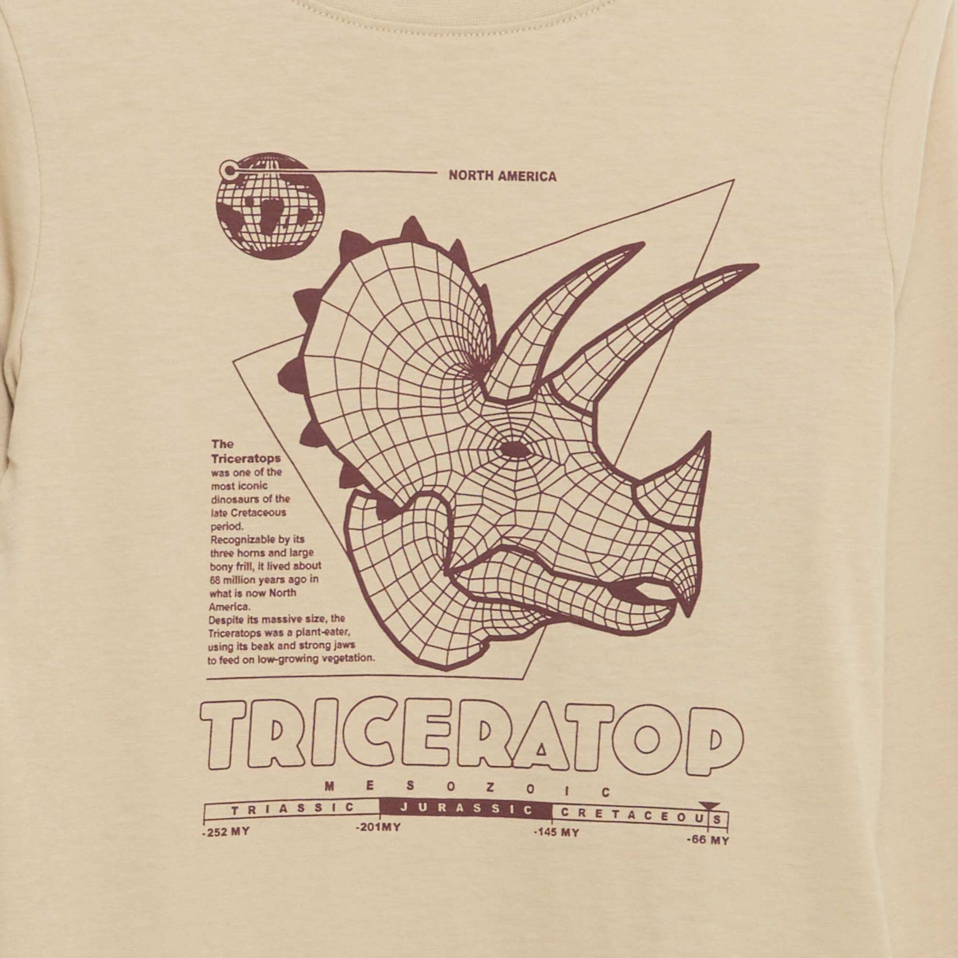 Printed long-sleeved T-shirt BEIGE